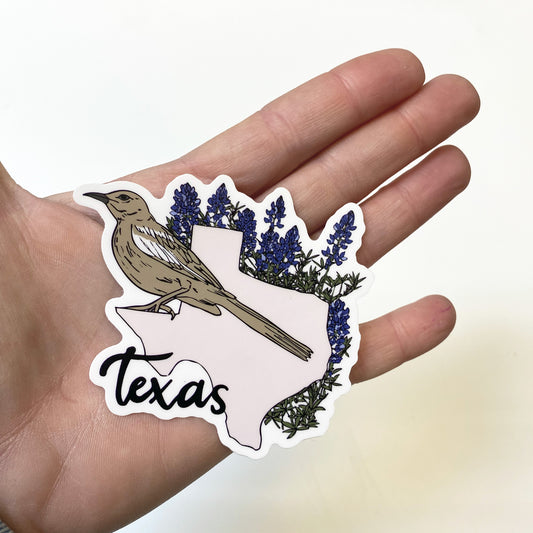 Texas sticker