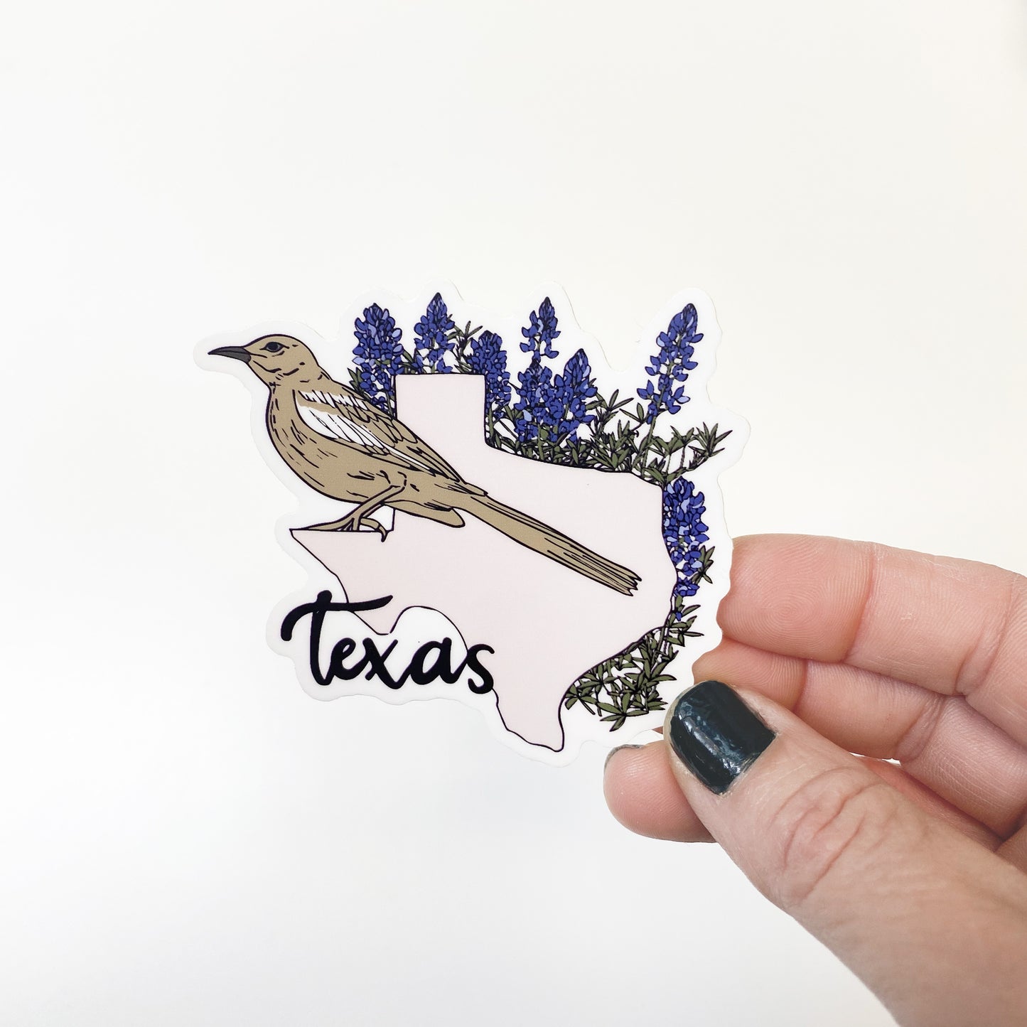 Texas sticker